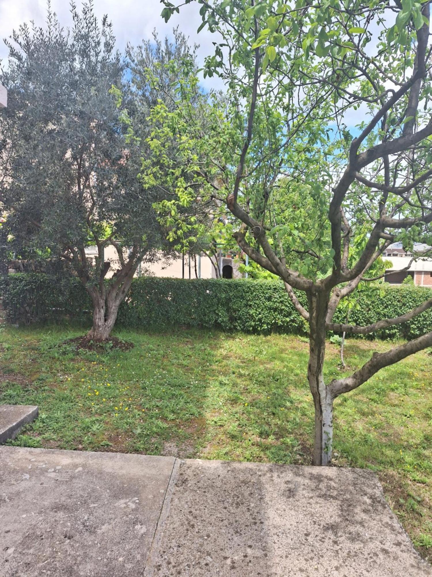 Apartmani Ruza Podgorica Exterior photo